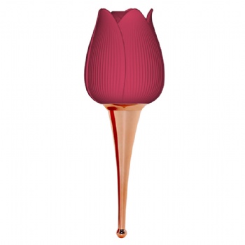 ROSS MASSAGER