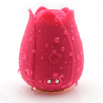 MINI MASSAGER