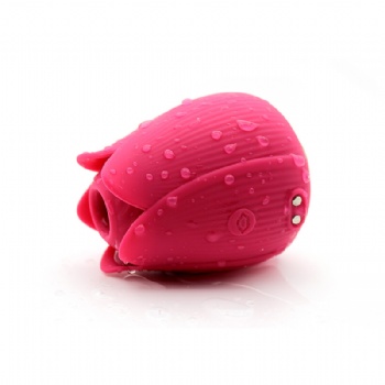 MINI MASSAGER